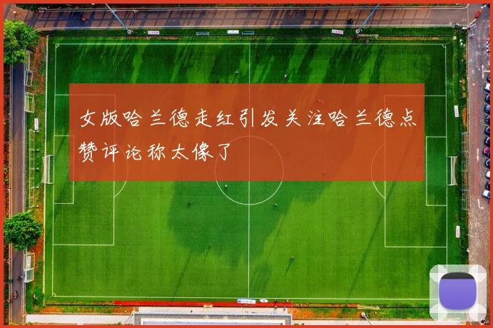 女版哈兰德走红引发关注哈兰德点赞评论称太像了